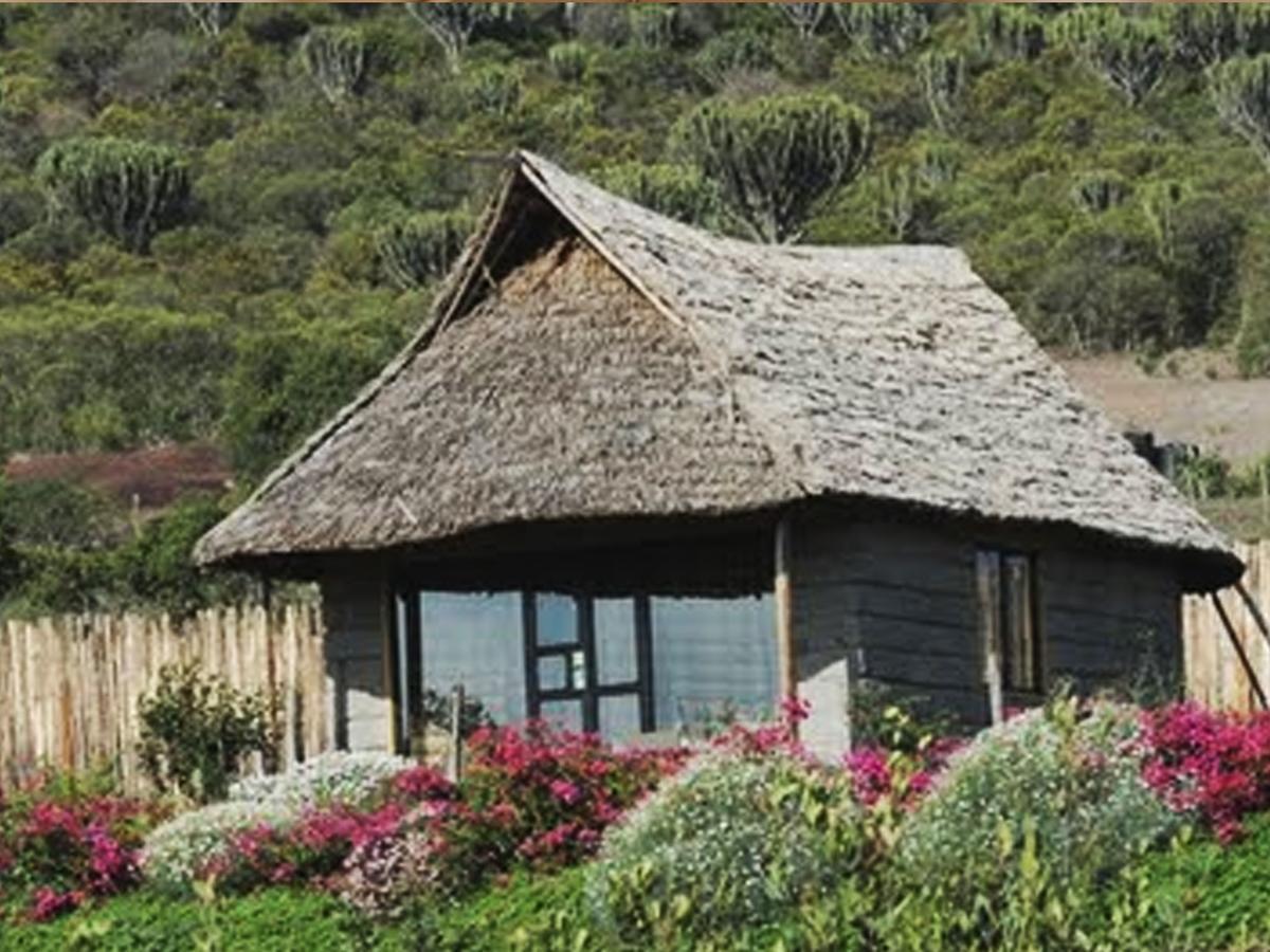 Rhino Watch Safarilodge Mweiga Rum bild